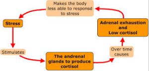 depression & adrenal fatigue